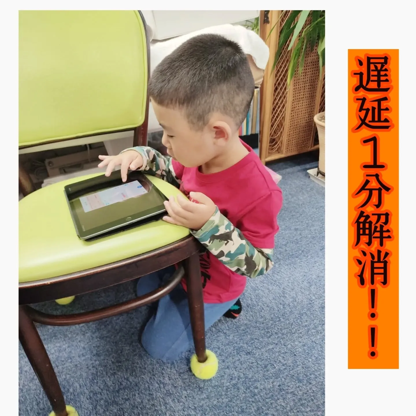 🌿こんにちは。