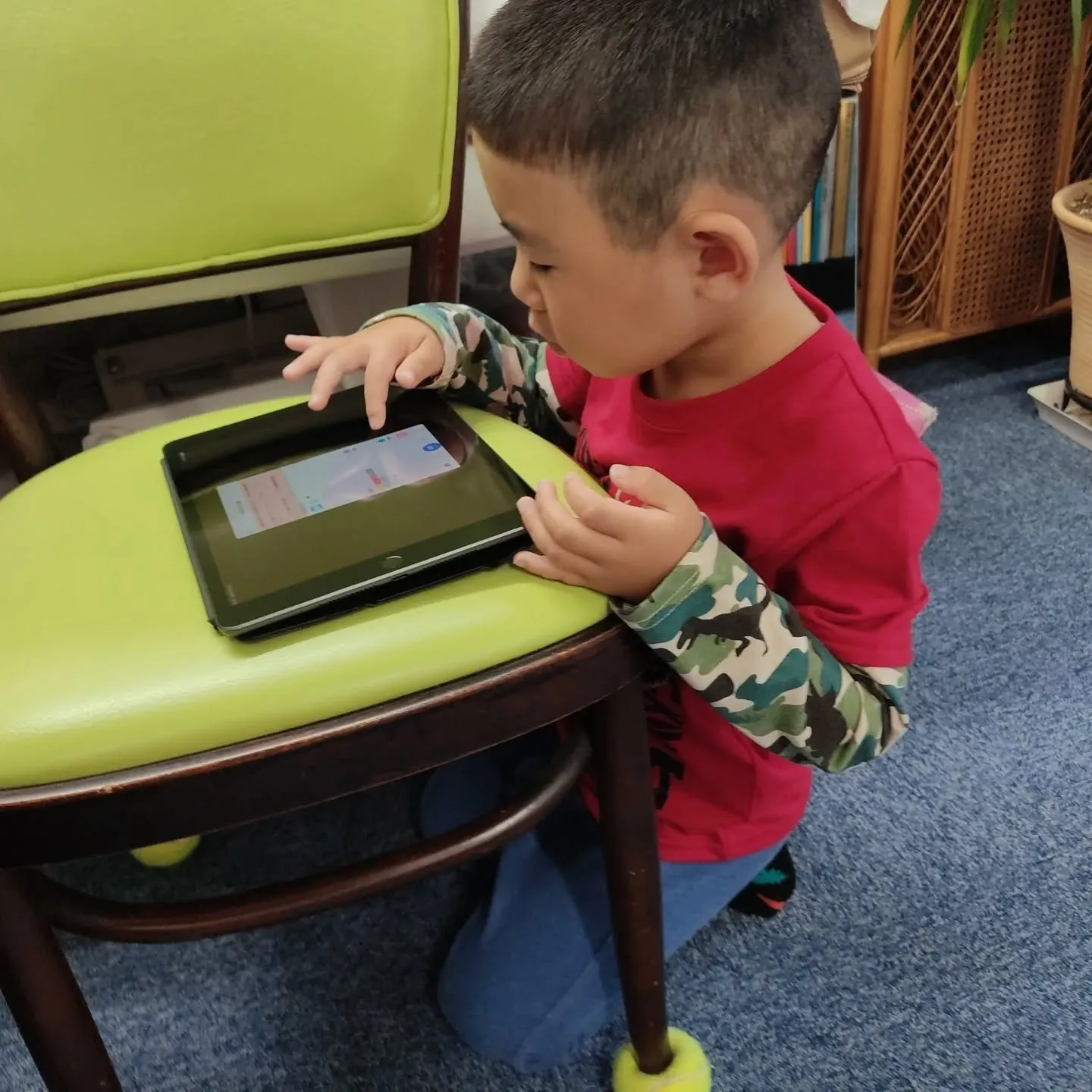 🌿こんにちは。