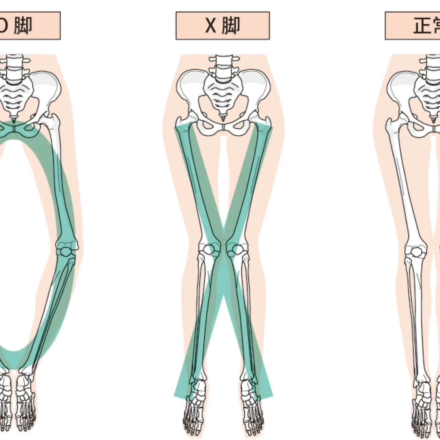 🌸【産前産後に理学療法は有効?】🌸
