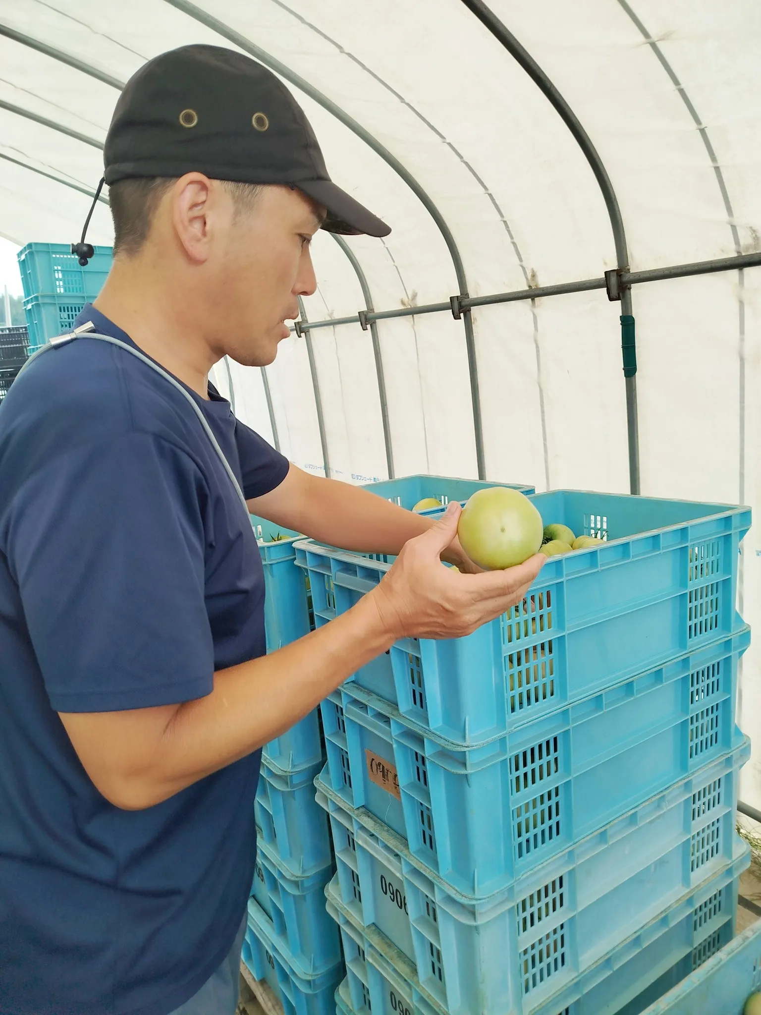 🍅今年の夏、山形へ行ってきました🌾