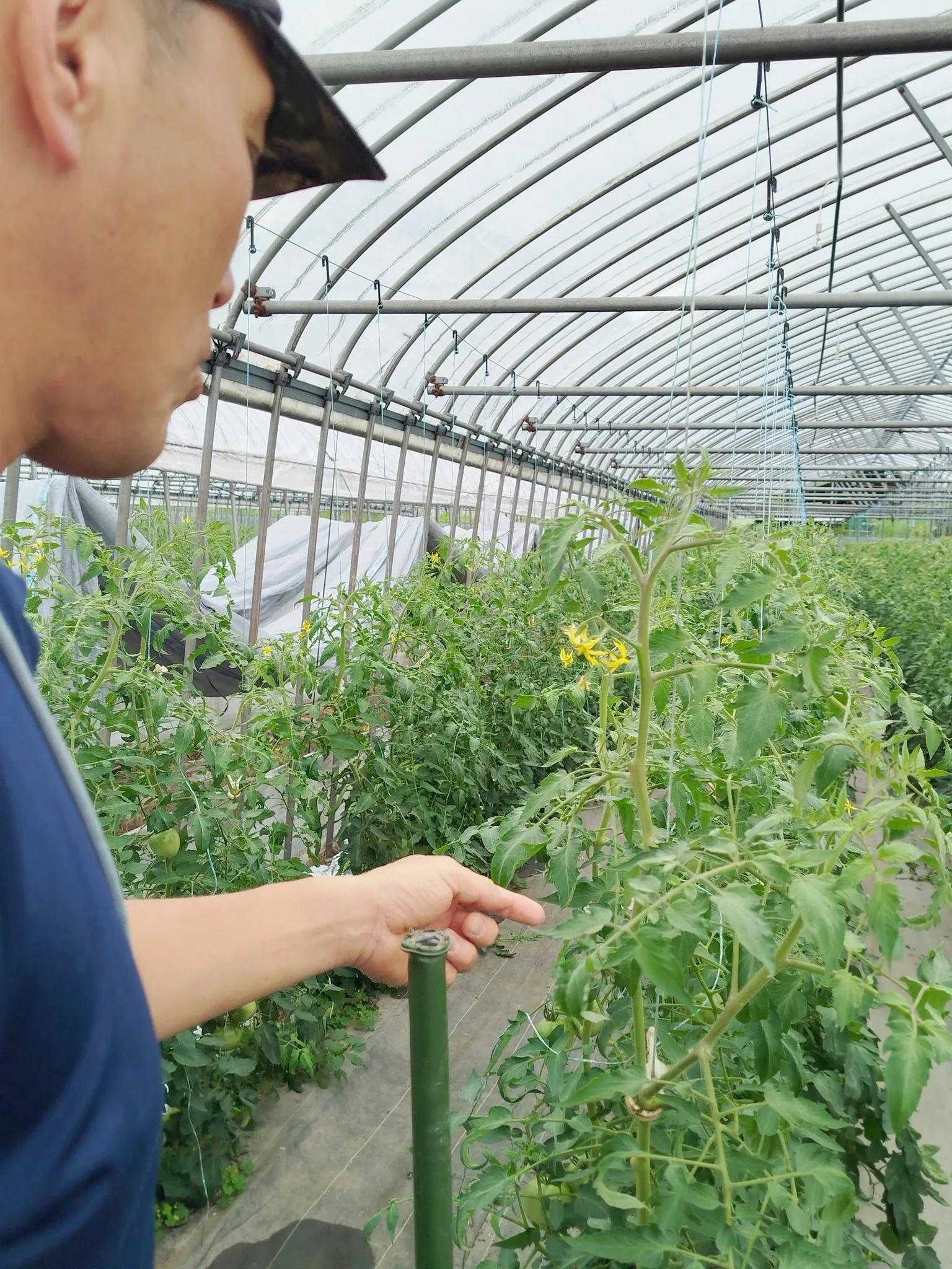 🍅今年の夏、山形へ行ってきました🌾