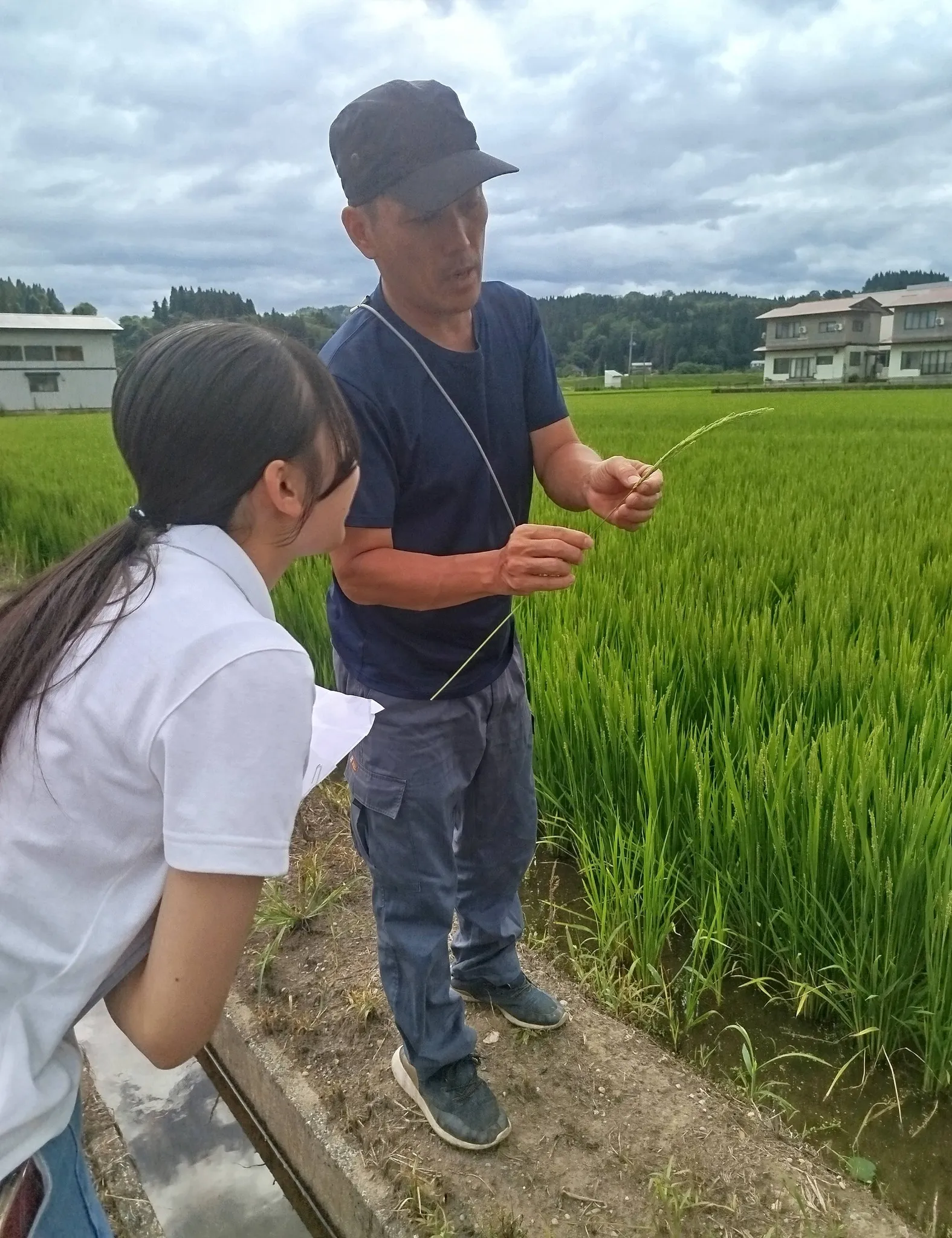 🍅今年の夏、山形へ行ってきました🌾